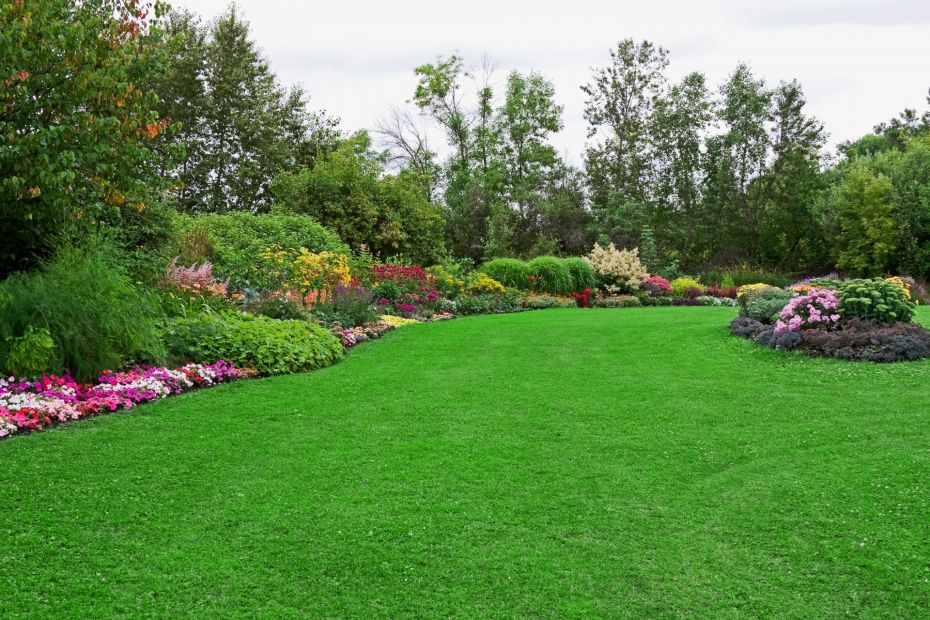 Weed Control & Lawn Fertilization by Florida's Best Lawn & Pest, LLC