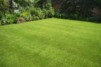 Lawn Maintenance in North Lauderdale, Florida by Florida's Best Lawn & Pest, LLC