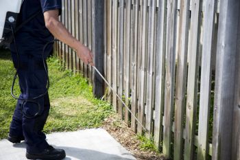 Perimeter Pest Control in Parkland, Florida by Florida's Best Lawn & Pest, LLC