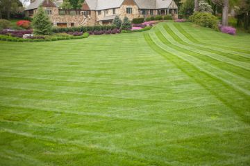 Lawn Care in North Lauderdale by Florida's Best Lawn & Pest, LLC