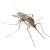 Ocean Ridge Mosquitoes & Ticks by Florida's Best Lawn & Pest, LLC