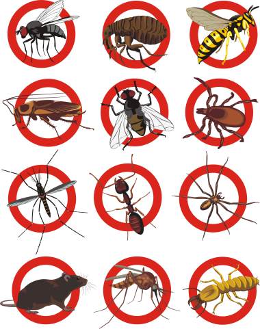 Pest control services by Florida's Best Lawn & Pest, LLC