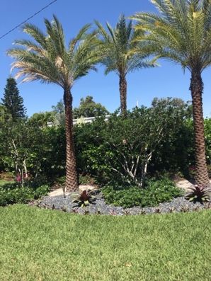 Lawn Care Services in Pompano Beach, FL (4)