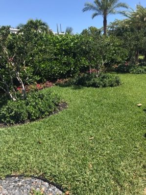 Photos by Florida's Best Lawn & Pest, LLC