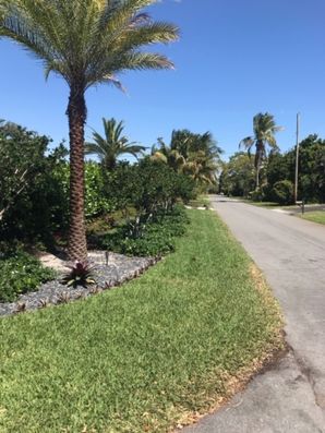 Lawn Care Services in Pompano Beach, FL (6)